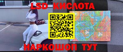 прущие грибы Пенза