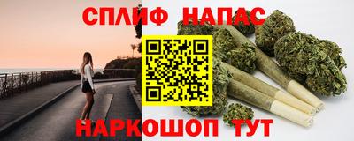 прущие грибы Пенза