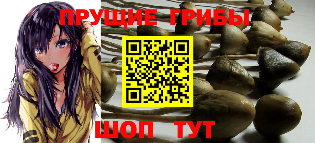 Псилоцибиновые грибы мицелий  Псилоцибиновые грибы ЛСД  Вход с VPN  Ступино 